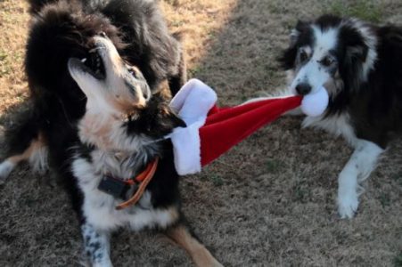 Merry Christmas From The Hooligans Image